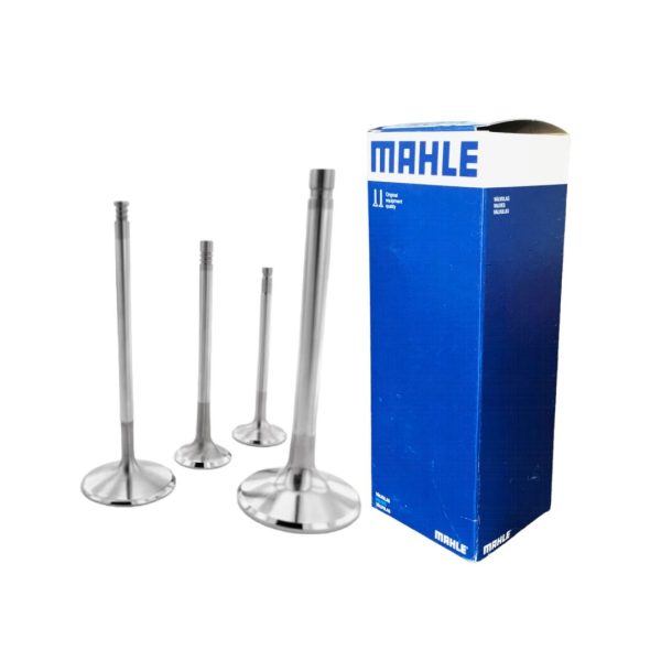 Valvulas Mahle